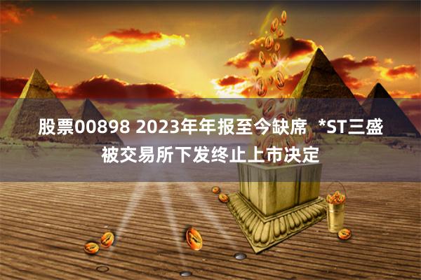 股票00898 2023年年报至今缺席  *ST三盛被交易所下发终止上市决定