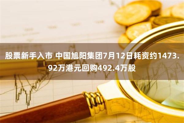 股票新手入市 中国旭阳集团7月12日耗资约1473.92万港元回购492.4万股